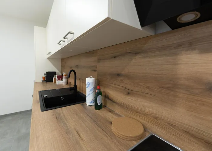 Appartement Zimmervermietung Projektentwicklungs Gmbh 2